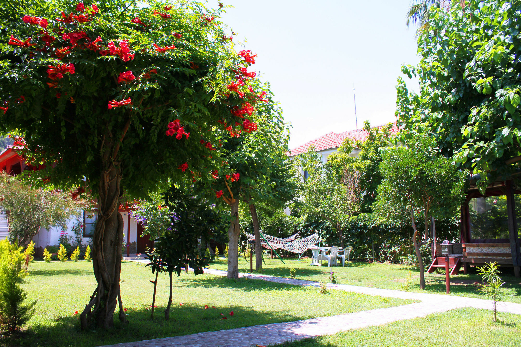 Çıralı Alican Pension מראה חיצוני תמונה